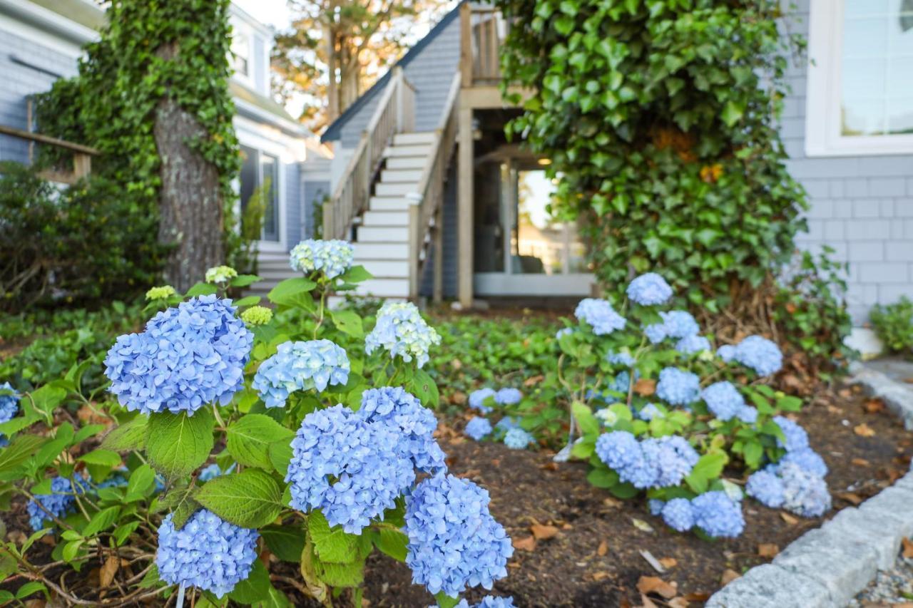 Allen Harbor Rentals ハーウィッチ・ポート エクステリア 写真